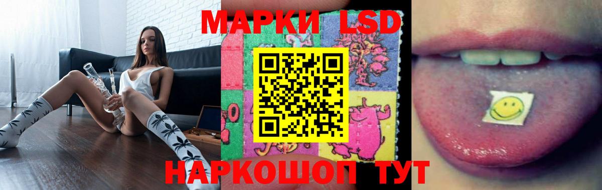 ЛСД экстази ecstasy Новозыбков